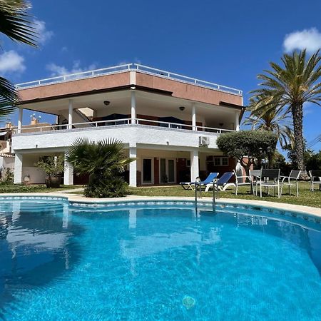 Anna'S Garden Bed & Breakfast Torrevieja Dış mekan fotoğraf